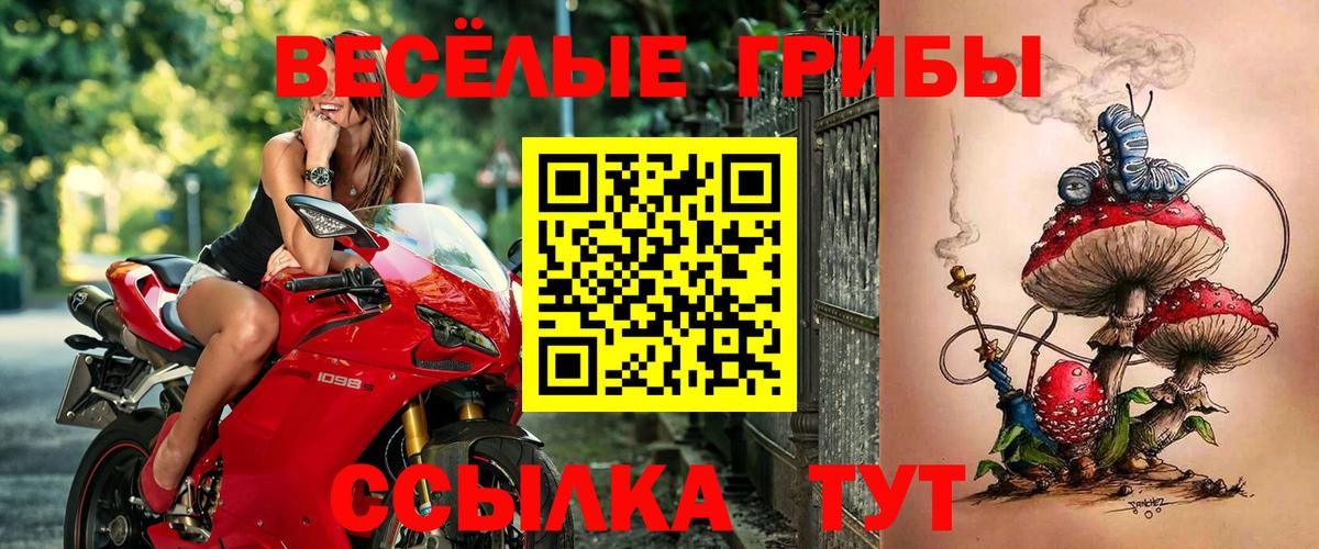 наркота  Псилоцибиновые грибы мицелий  Арзамас  Вход с VPN  Галлюциногенные грибы Cubensis 
